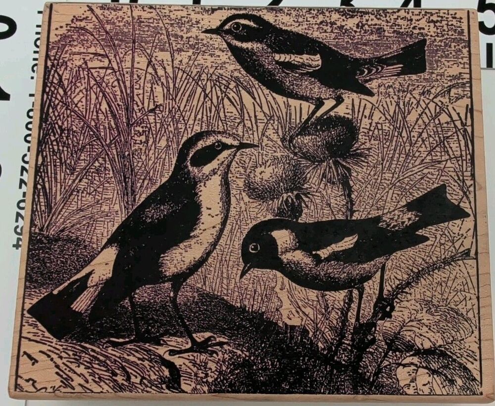Magenta Rubber Stamp Art Wheatear Whinchit Stonechat Thistle Card Background